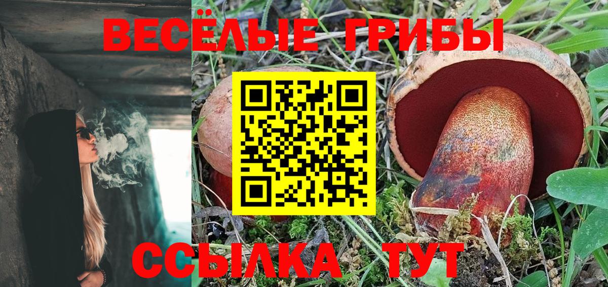 Псилоцибиновые грибы Psilocybe  Вход с VPN  Сертолово 