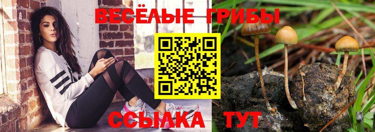 Галлюциногенные грибы Cubensis Сертолово